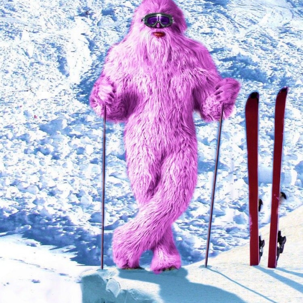 Meet your Posher, Alana